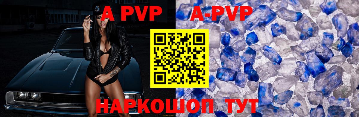 A PVP СК КРИС Донской