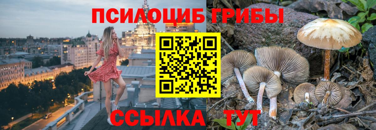 Галлюциногенные грибы MAGIC MUSHROOMS Донской